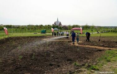 Stasz&oacute;w razem dla Ziemi! (28.29.05.2025 r.) 5