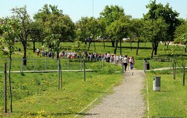 Stasz&oacute;w razem dla Ziemi! (28.29.05.2025 r.) 153