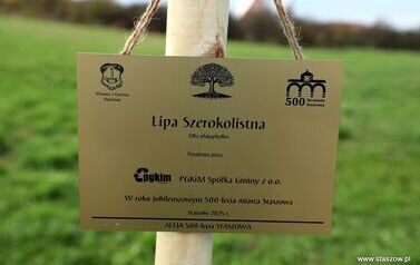 Aleja 500-lecia Staszowa już rośnie! (22.10.2025 r.) 2