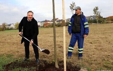 Aleja 500-lecia Staszowa już rośnie! (22.10.2025 r.) 6