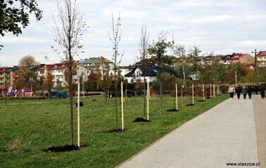 Aleja 500-lecia Staszowa już rośnie! (22.10.2025 r.) 8