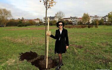 Aleja 500-lecia Staszowa już rośnie! (22.10.2025 r.) 9