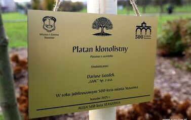 Aleja 500-lecia Staszowa już rośnie! (22.10.2025 r.) 10