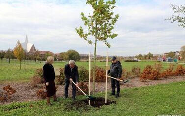 Aleja 500-lecia Staszowa już rośnie! (22.10.2025 r.) 13