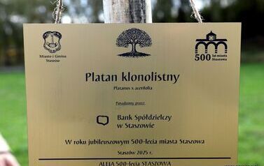 Aleja 500-lecia Staszowa już rośnie! (22.10.2025 r.) 15