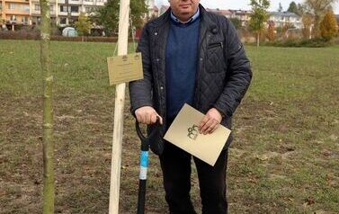 Aleja 500-lecia Staszowa już rośnie! (22.10.2025 r.) 17