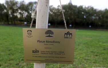 Aleja 500-lecia Staszowa już rośnie! (22.10.2025 r.) 18