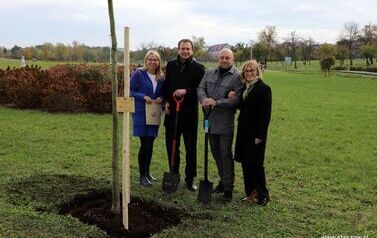 Aleja 500-lecia Staszowa już rośnie! (22.10.2025 r.) 19