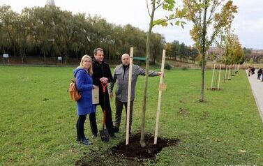 Aleja 500-lecia Staszowa już rośnie! (22.10.2025 r.) 20