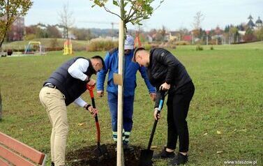 Aleja 500-lecia Staszowa już rośnie! (22.10.2025 r.) 21