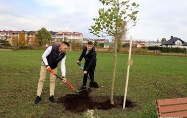 Aleja 500-lecia Staszowa już rośnie! (22.10.2025 r.) 22