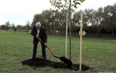 Aleja 500-lecia Staszowa już rośnie! (22.10.2025 r.) 24