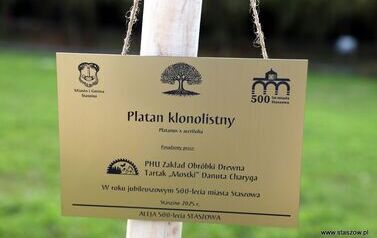 Aleja 500-lecia Staszowa już rośnie! (22.10.2025 r.) 26