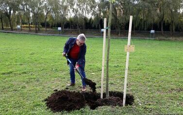 Aleja 500-lecia Staszowa już rośnie! (22.10.2025 r.) 27