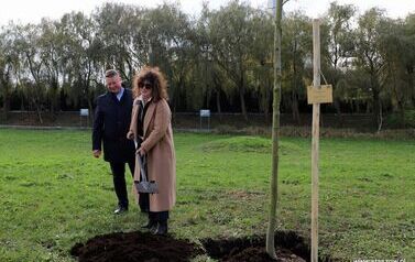 Aleja 500-lecia Staszowa już rośnie! (22.10.2025 r.) 28