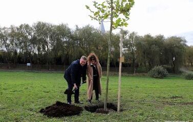 Aleja 500-lecia Staszowa już rośnie! (22.10.2025 r.) 30