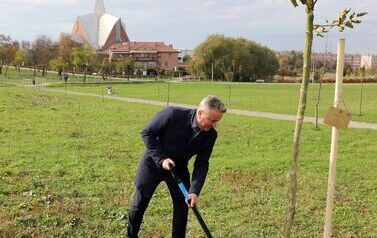 Aleja 500-lecia Staszowa już rośnie! (22.10.2025 r.) 41
