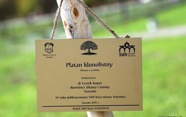 Aleja 500-lecia Staszowa już rośnie! (22.10.2025 r.) 43