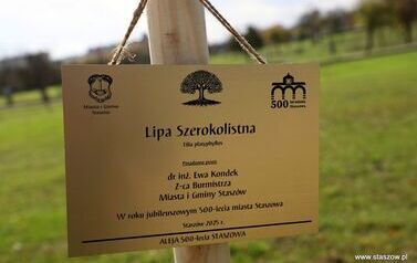 Aleja 500-lecia Staszowa już rośnie! (22.10.2025 r.) 45