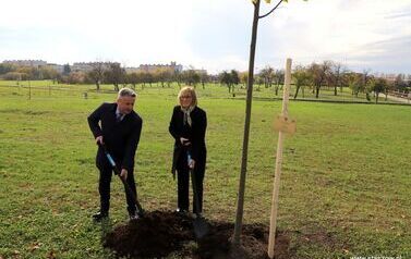 Aleja 500-lecia Staszowa już rośnie! (22.10.2025 r.) 46