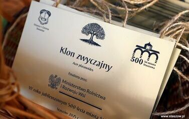 Aleja 500-lecia Staszowa już rośnie! (22.10.2025 r.) 50