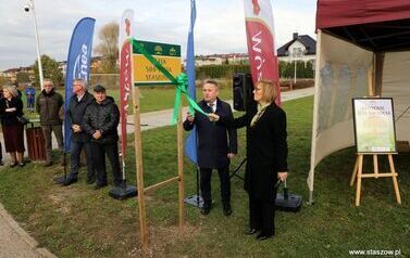 Aleja 500-lecia Staszowa już rośnie! (22.10.2025 r.) 122