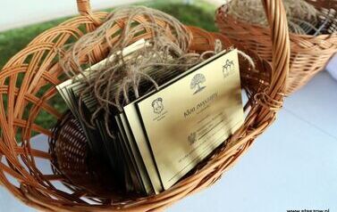 Aleja 500-lecia Staszowa już rośnie! (22.10.2025 r.) 143