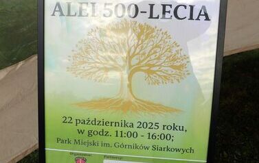 Aleja 500-lecia Staszowa już rośnie! (22.10.2025 r.) 144