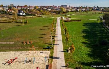 Aleja 500-lecia Staszowa już rośnie! (22.10.2025 r.) 149