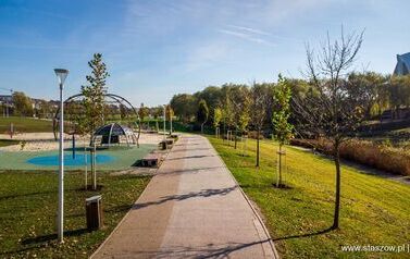 Aleja 500-lecia Staszowa już rośnie! (22.10.2025 r.) 150