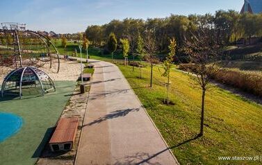 Aleja 500-lecia Staszowa już rośnie! (22.10.2025 r.) 151