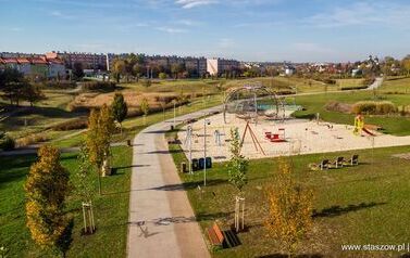 Aleja 500-lecia Staszowa już rośnie! (22.10.2025 r.) 152