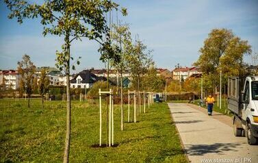 Aleja 500-lecia Staszowa już rośnie! (22.10.2025 r.) 153