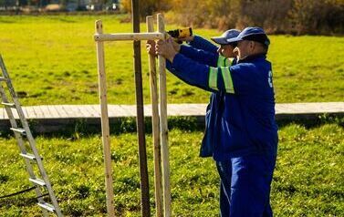 Aleja 500-lecia Staszowa już rośnie! (22.10.2025 r.) 155