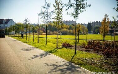 Aleja 500-lecia Staszowa już rośnie! (22.10.2025 r.) 157