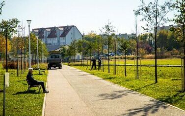 Aleja 500-lecia Staszowa już rośnie! (22.10.2025 r.) 158