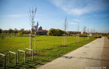 Aleja 500-lecia Staszowa już rośnie! (22.10.2025 r.) 159