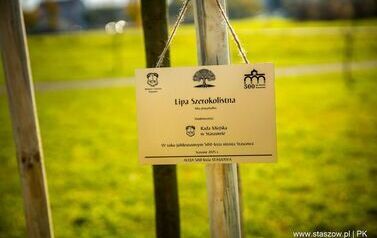 Aleja 500-lecia Staszowa już rośnie! (22.10.2025 r.) 160