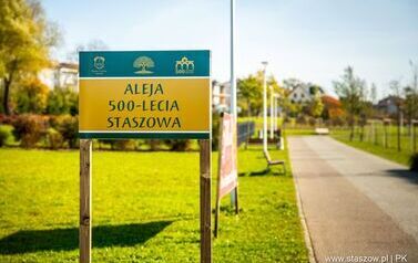 Aleja 500-lecia Staszowa już rośnie! (22.10.2025 r.) 164