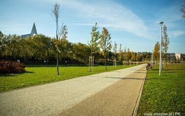Aleja 500-lecia Staszowa już rośnie! (22.10.2025 r.) 166