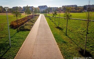 Aleja 500-lecia Staszowa już rośnie! (22.10.2025 r.) 168