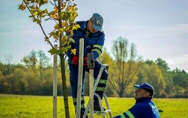 Aleja 500-lecia Staszowa już rośnie! (22.10.2025 r.) 172