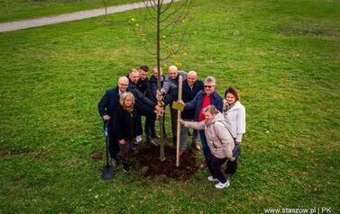 Aleja 500-lecia Staszowa już rośnie! (22.10.2025 r.) 174
