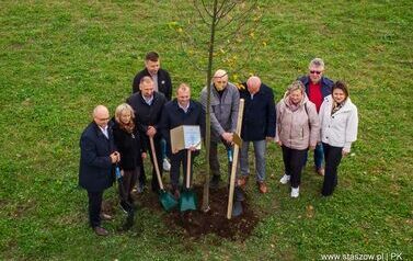 Aleja 500-lecia Staszowa już rośnie! (22.10.2025 r.) 176