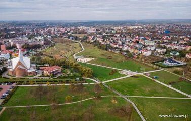 Aleja 500-lecia Staszowa już rośnie! (22.10.2025 r.) 177