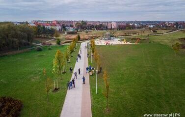 Aleja 500-lecia Staszowa już rośnie! (22.10.2025 r.) 181