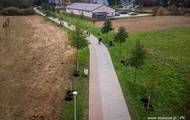 Aleja 500-lecia Staszowa już rośnie! (22.10.2025 r.) 182