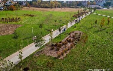 Aleja 500-lecia Staszowa już rośnie! (22.10.2025 r.) 183