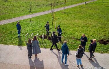 Aleja 500-lecia Staszowa już rośnie! (22.10.2025 r.) 184