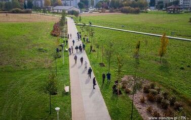 Aleja 500-lecia Staszowa już rośnie! (22.10.2025 r.) 185